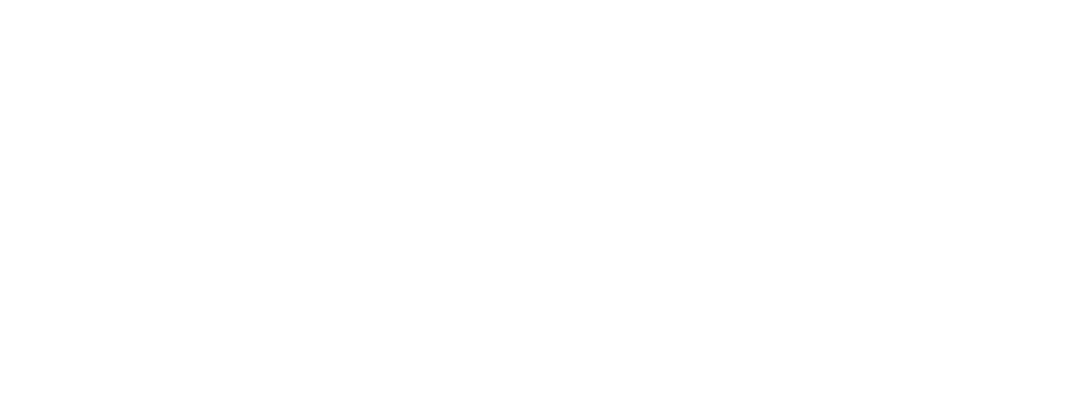 Veraniy Repair
